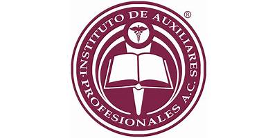 INSTITUTO DE AUXILIARES PROFESIONALES