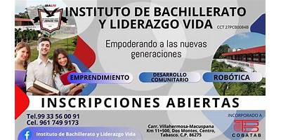 INSTITUTO DE BACHILLERATO Y LIDERAZGO VIDA