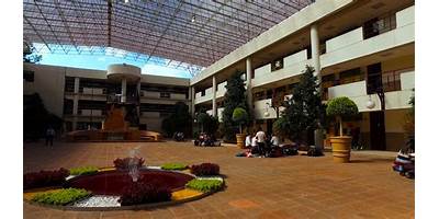 INSTITUTO TECNOLÓGICO DE ESTUDIOS SUPERIORES DE MONTERREY CAMPUS TOLUCA