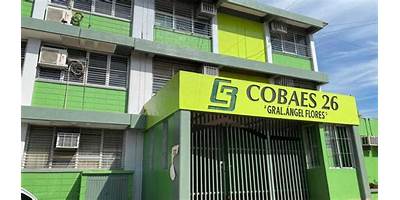PLANTEL COBAES 59 CRISTINO C. ROMO