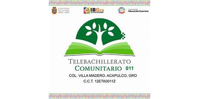 TELEBACHILLERATO COMUNITARIO NUM 120