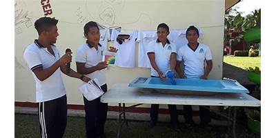 TELEBACHILLERATO COMUNITARIO NUMERO 15