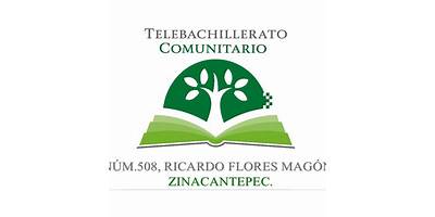 TELEBACHILLERATO COMUNITARIO NUMERO 223 FLORES MAGON