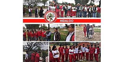 TELEBACHILLERATO COMUNITARIO PLANTEL FRANCISCO I.MADERO