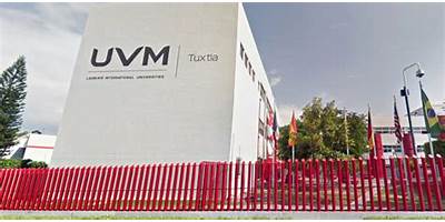 UNIVERSIDAD DEL VALLE DE MEXICO