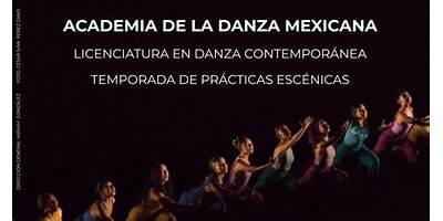 ACADEMIA DE LA DANZA MEXICANA