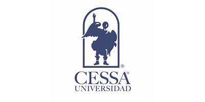 CENTRO DE ESTUDIOS SUPERIORES IDDEA