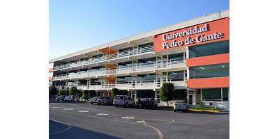 CENTRO UNIVERSITARIO PEDRO DE GANTE
