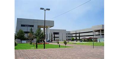 CENTRO UNIVERSITARIO UNIN DE MEXICO