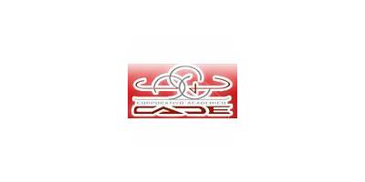 COLEGIO EN ALTA DIRECCION EMPRESARIAL