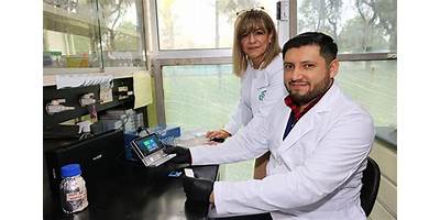 DEPARTAMENTO DE INFECTOMICA Y PATOGENESIS MOLECULAR