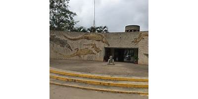 DIVISIÓN ACADÉMICA DE CIENCIAS BIOLÓGICAS