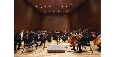 ESCUELA DE MUSICA "VIDA Y MOVIMIENTO"