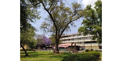 ESCUELA SUPERIOR DE INGENIERIA QUIMICA E INDUSTRIAS EXTRATIVAS (ESIQIE)