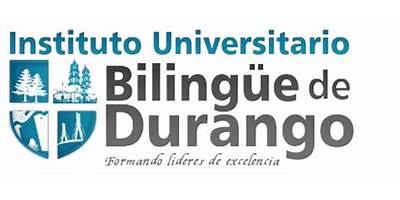 INSTITUTO BILNGUE DE DURANGO SEDE LAGUNA