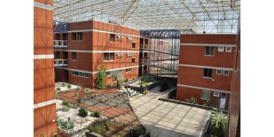 INSTITUTO DE BIOLOGÍA