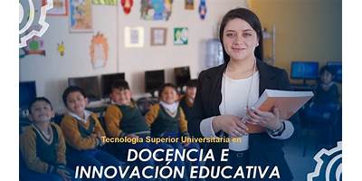 INSTITUTO DE DOCENCIA E INVESTIGACIÓN TRANSVERSAL