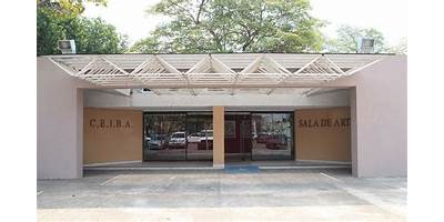 INSTITUTO DE EDUCACION ARTISTICA INTEGRAL A.C.