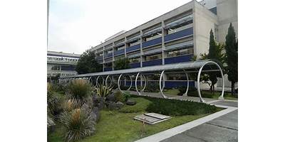 INSTITUTO DE INVESTIGACIONES BIOMÉDICAS