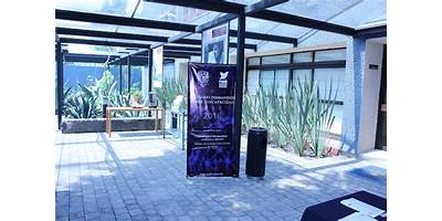 INSTITUTO DE INVESTIGACIONES SOCIALES