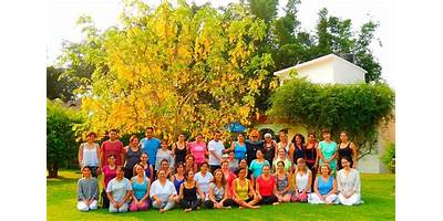 INSTITUTO HUMANISTA DE PSICOTERAPIA CORPORAL INTEGRA