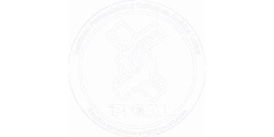 INSTITUTO PENSAMIENTO Y CULTURA EN AMERICA LATINA AC