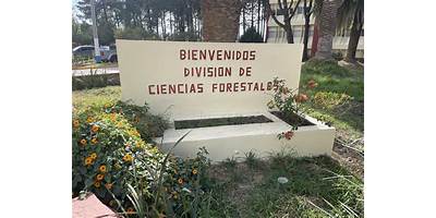 POSGRADO EN CIENCIAS FORESTALES