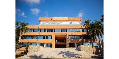 UNIVERSIDAD AMERICANA DE ACAPULCO