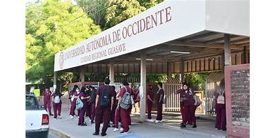 UNIVERSIDAD AUTONOMA DE OCCIDENTE UNIDAD GUASAVE