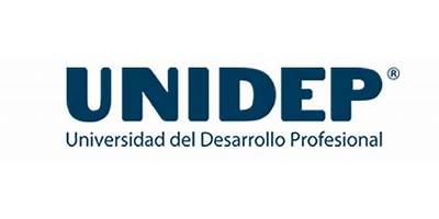 UNIVERSIDAD DEL DESARROLLO PROFESIONAL (BOCA DEL RIO)