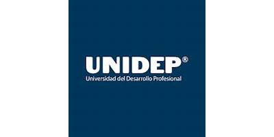 UNIVERSIDAD DEL DESARROLLO PROFESIONAL