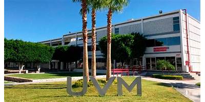 UNIVERSIDAD DEL VALLE DE MEXICO A. C.