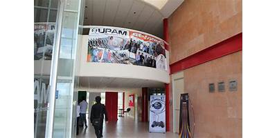 UNIVERSIDAD POLITECNICA DE AMOZOC