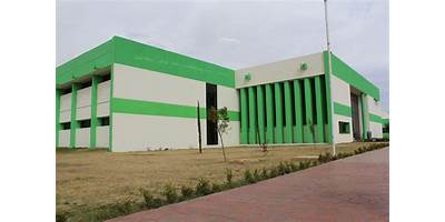 UNIVERSIDAD POLITECNICA DE TEXCOCO