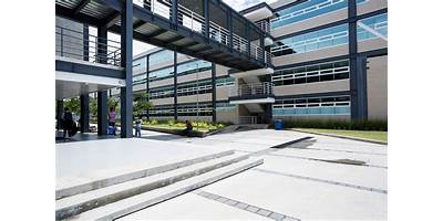 UNIVERSIDAD TECNOLÓGICA DE MÉXICO