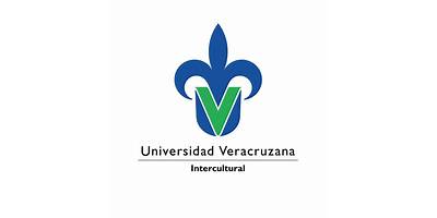 UNIVERSIDAD VERACRUZANA INTERCULTURAL SEDE REGIONAL TOTONACAPAN