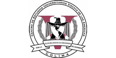 UNIVERSIDAD VIZCAYA DE LAS AMERICAS