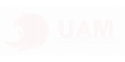 UNIVERSITARÉ AMERICANÉ MEXIQUÉ A.C.